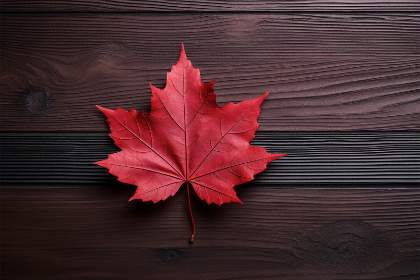 探索环亚体育官网：全面了解其特色与优势