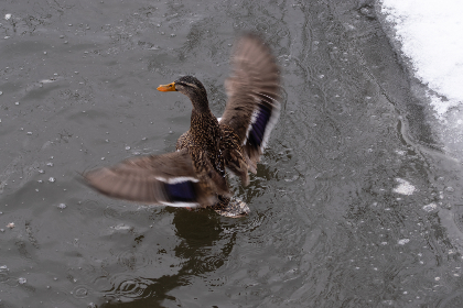 探索欧博的创新科技：引领行业发展的未来趋势