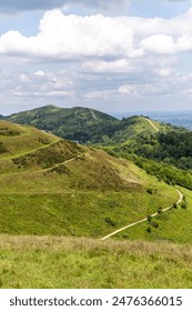 2路现场视频直播:实时双视角精彩同步呈现 2路现场视频直播:实时双视角精彩同步呈现