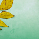 293期开奖号码正式公布结果查询 c4d0ov0s