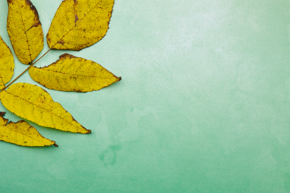 293期开奖号码正式公布结果查询 293期开奖号码正式公布结果查询